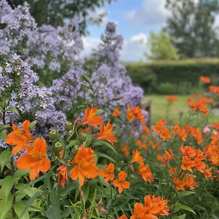 3 Bed In Outgate Oc-gl018 Nyaraló